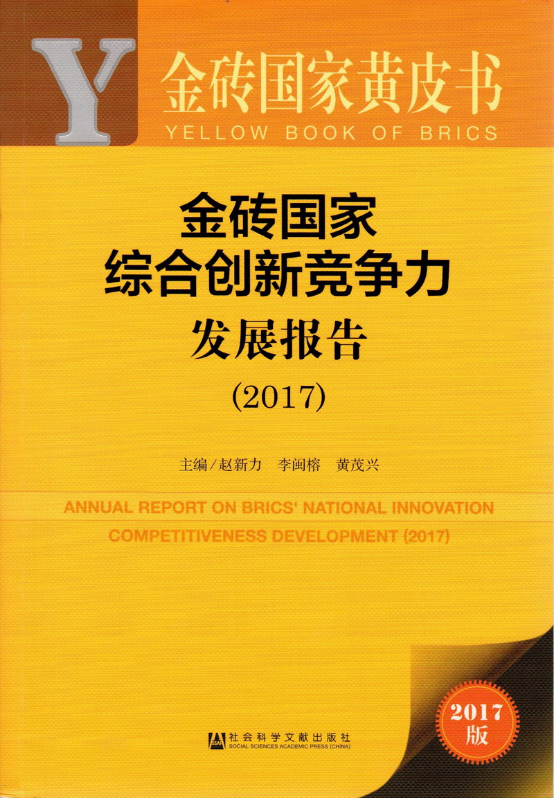 啊啊网站金砖国家综合创新竞争力发展报告（2017）